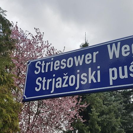 2 Raum Gartenwohnung Am Spreewaldradweg In Cottbus Exteriör bild