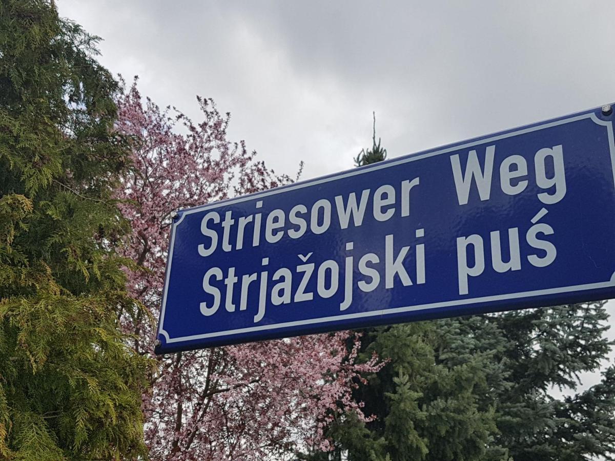 2 Raum Gartenwohnung Am Spreewaldradweg In Cottbus Exteriör bild
